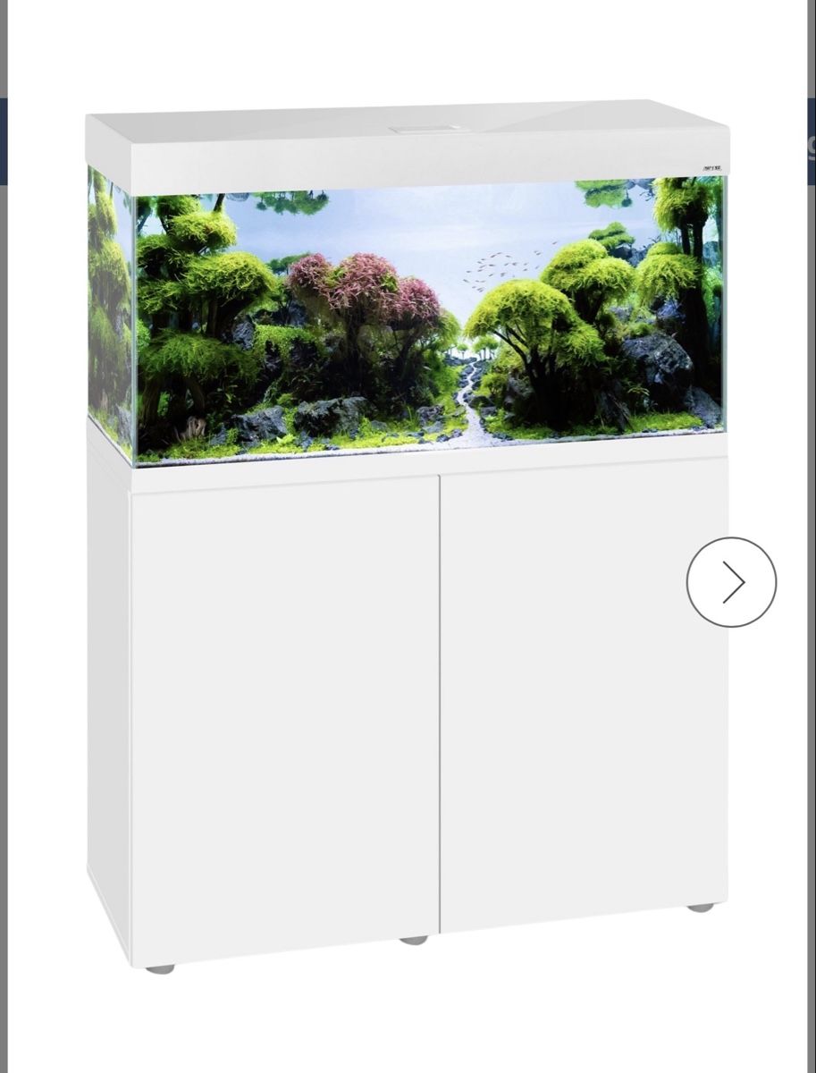 Acquari: Aquarium – Usato da Reinach BL venduto da Fireeagle98