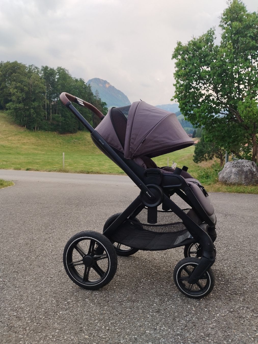 Hauck Carrozzine: Poussette réversible - Hauck Walk N care – Usato da Sciernes-d'Albeuve venduto da gabrielRU