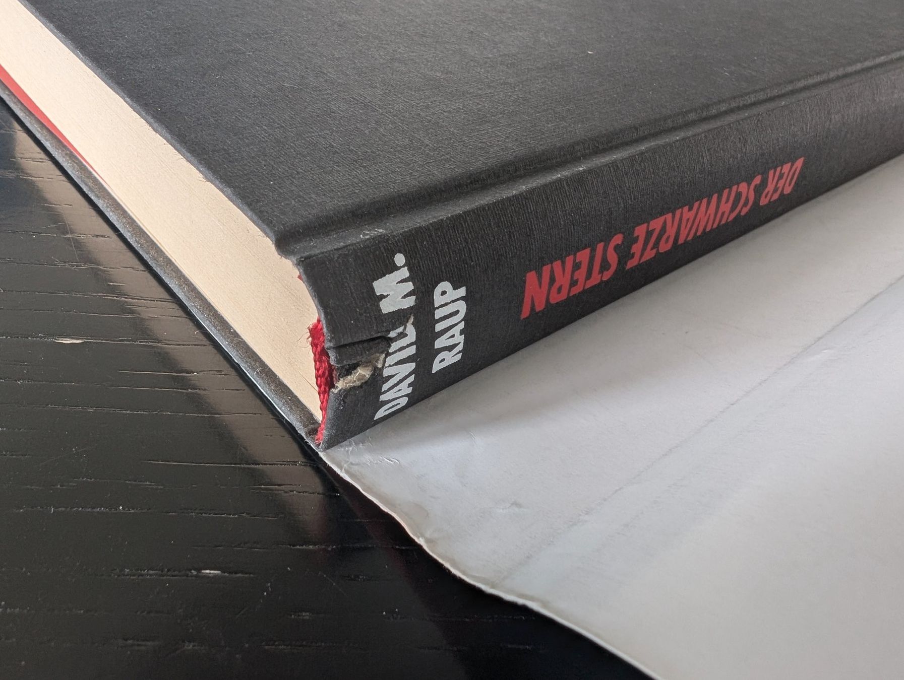 Bücher: Der Schwarze Stern - David M. Raup – Gebraucht aus Thalwil von sultan03 5
