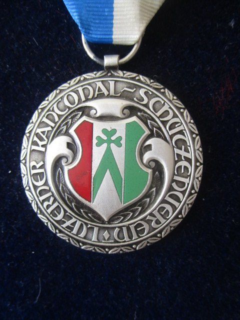 Medaglie: Luzerner Stich 1977 emailliertes Gemeindewappen Grossdietwil – Nuovo (secondo la descrizione) da Luzern venduto da Horoskop1 1