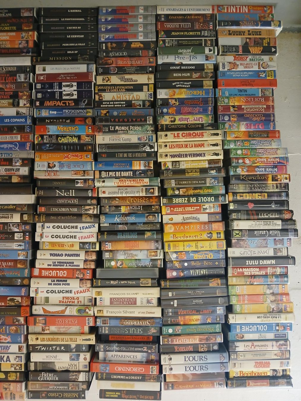 Tutti i VHS: lot d'environ 270 cassettes VHS – Usato da St-Cergue venduto da VeganWarrior