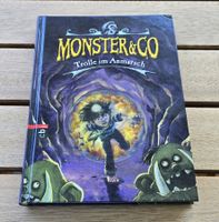 Monster & Co - Trolle im Anmarsch - Jugendbuch