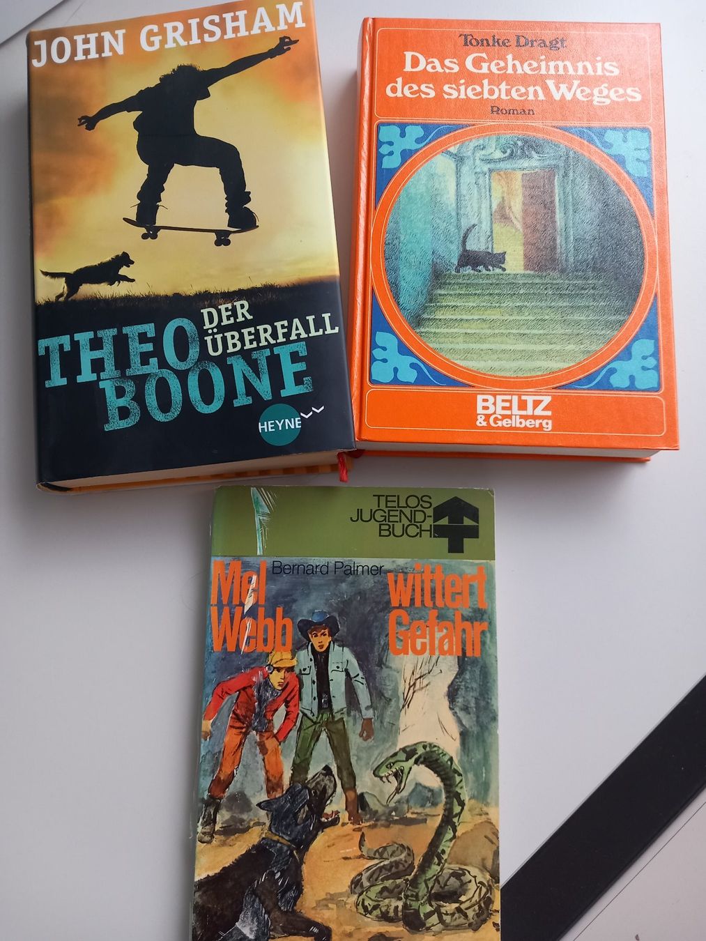 Bücher: 3 verschiedene Jugendbücher – Gebraucht aus Lindau von san_kg2j