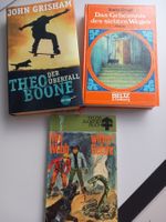 3 verschiedene Jugendbücher, eine 1. Auflage
