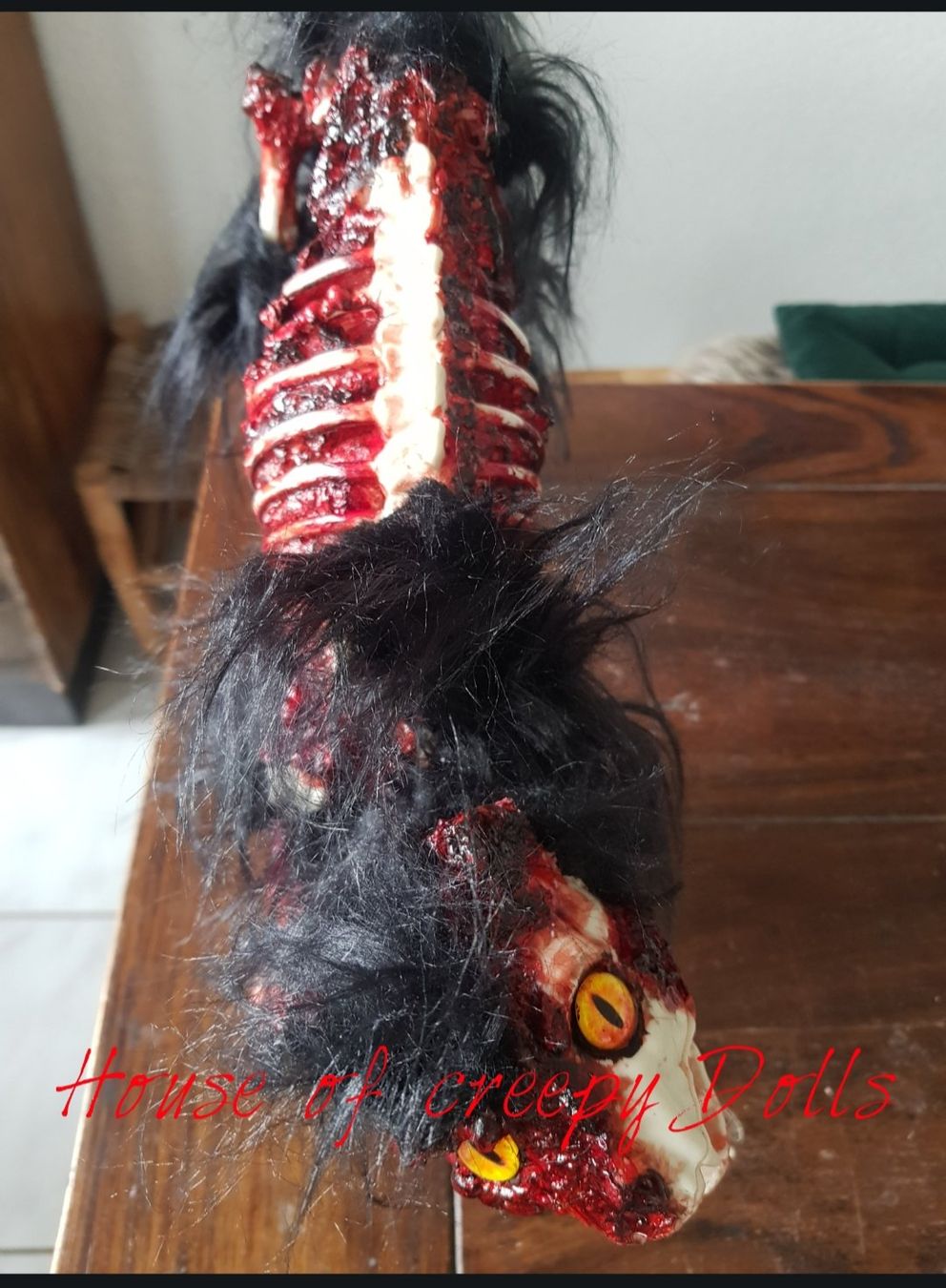 Alle Dekorationen: HORROR/ HALLOWEEN / ZOMBIE KATZE – Neu (gemäss Beschreibung) aus Root von LifestyleAccessoires 6
