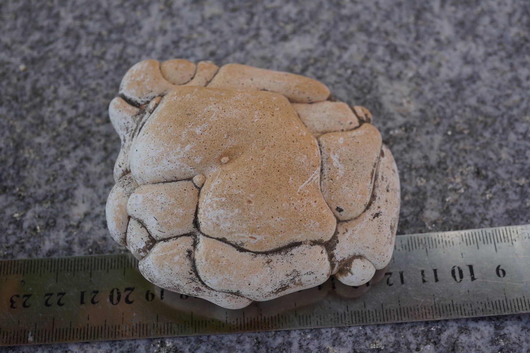 Minéraux & Lithothérapie: Feenstein XL    9cm      WOW    (1) – Neuf avec emballage d'origine à Eschenbach SG par topstone 3