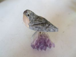 Vogel auf Stein