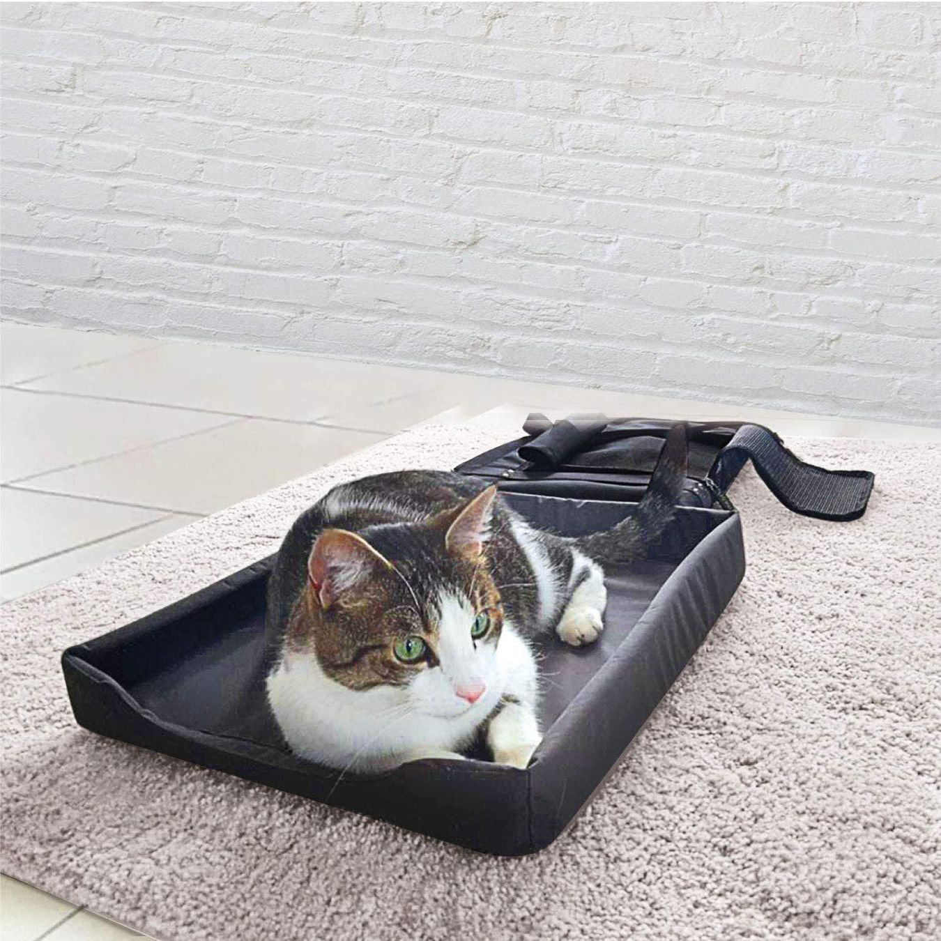 Cucce & Letti: meori Faltbare Tiertransportbox – Nuovo (secondo la descrizione) da Kägiswil venduto da pebart 2