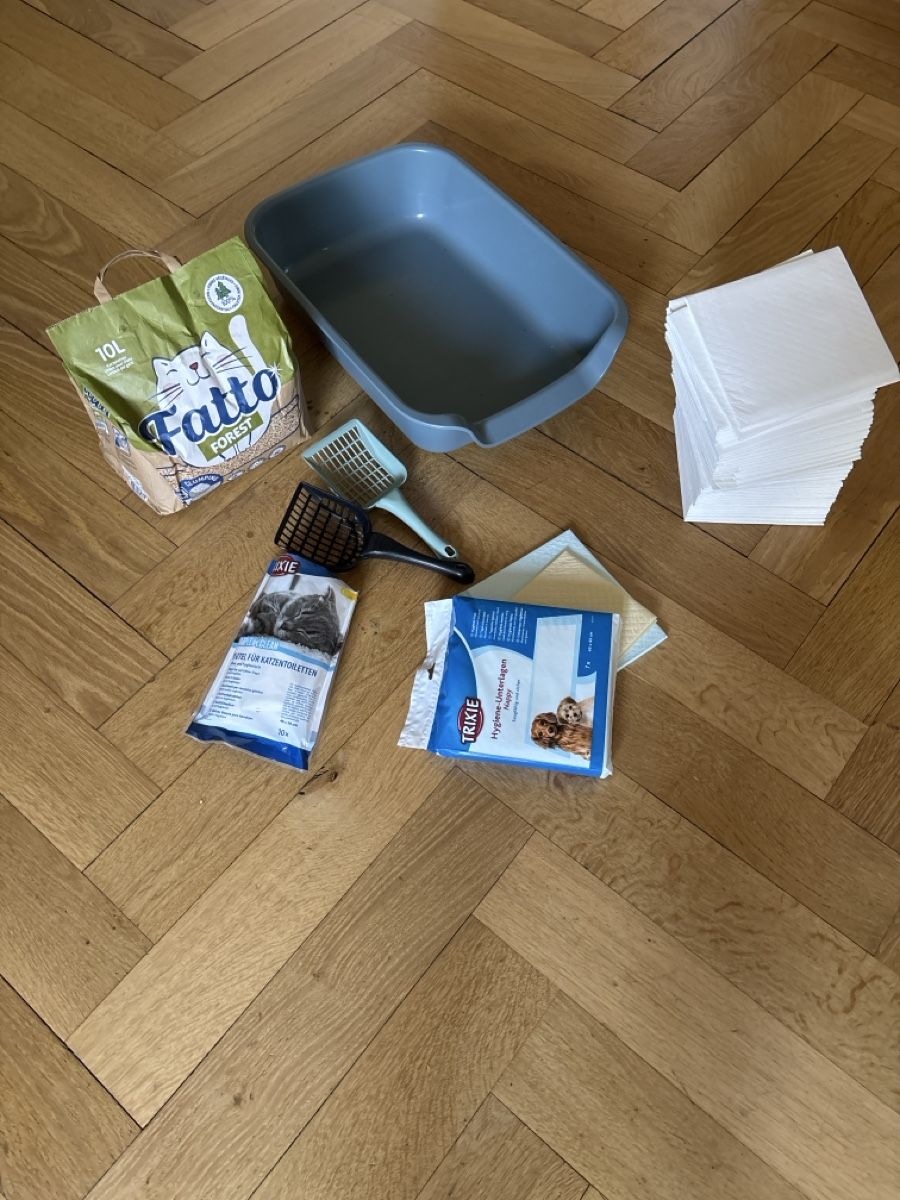 WC: Katzentoilette Set mit Streu – Gebraucht aus Bern von Innpic