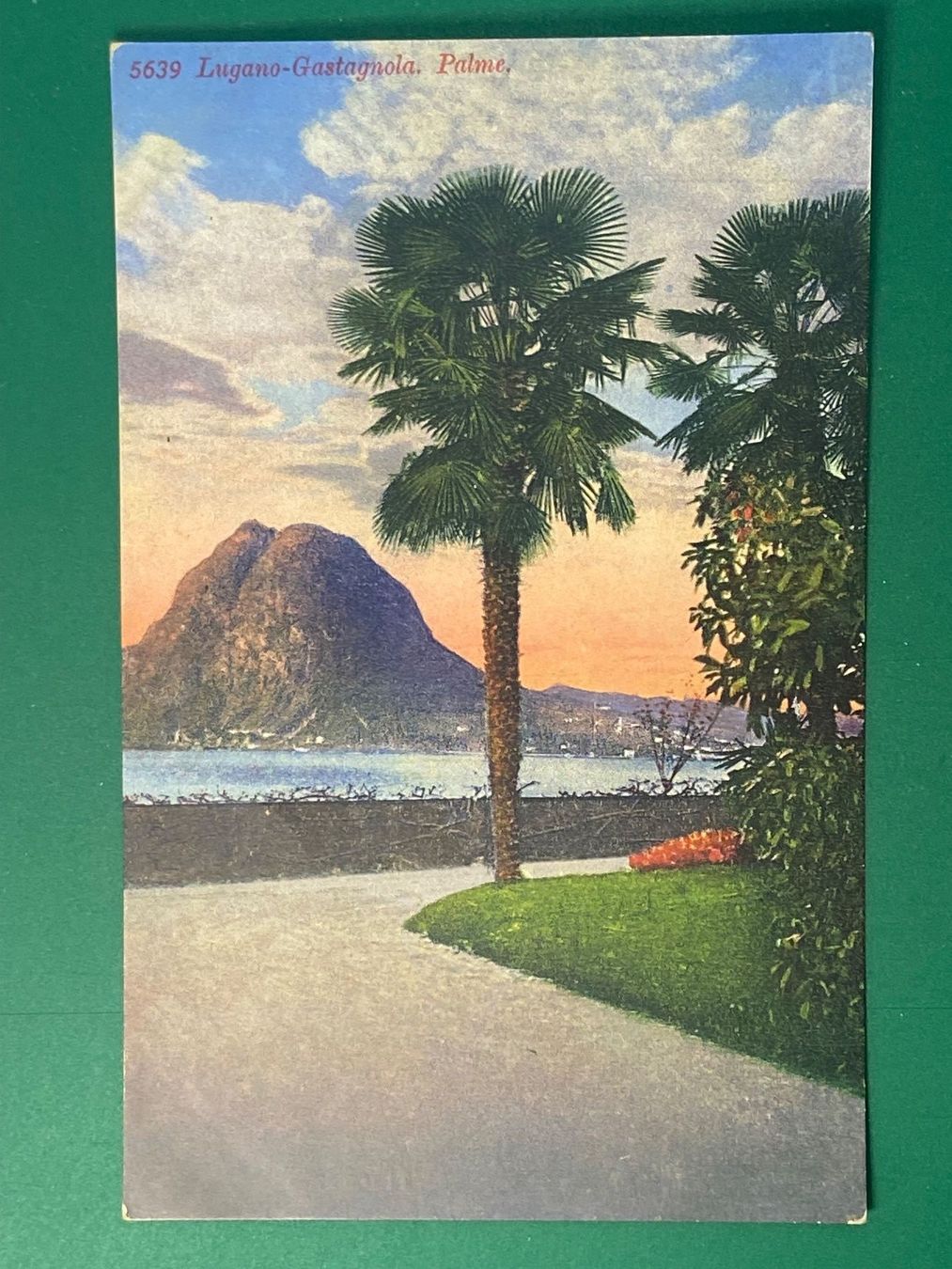 Cartoline postali: Lugano-Gastagnola. Palme – Usato da Steg VS venduto da _vinci_