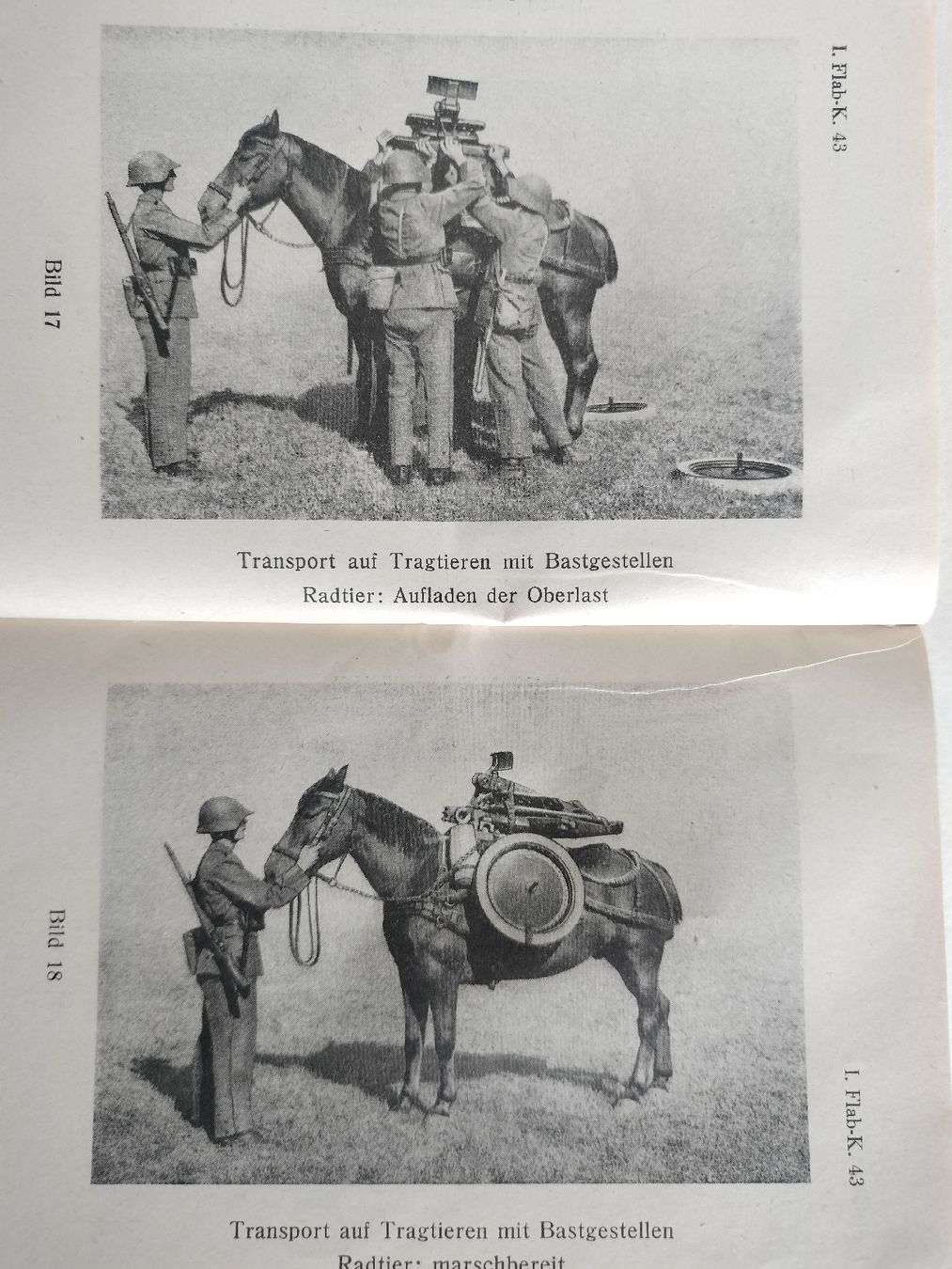 Libri: Schweizer Armee Militär Büchlein 1942 – Usato da Schwanden Sigrisw venduto da len_9yqg 7