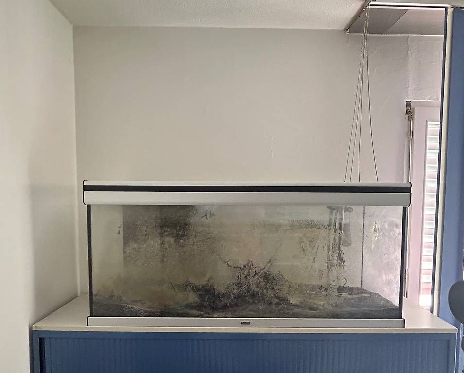 Aquarium: Aquarium 220L – Gebraucht aus Granges VS von pap_rb6n