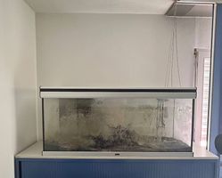 Aquarium 220L