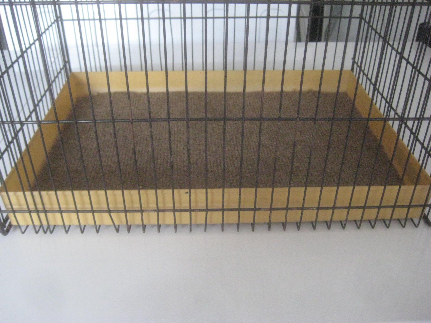 Gabbie, trasporto & Sicurezza: KATZEN  TRANZPORT KÄFIG – Usato da Uster venduto da flocke1 1