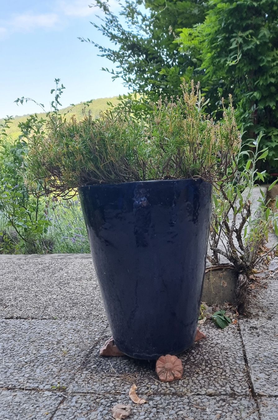 Vasi per fiori: Keramiktopf dunkelblau – Usato da Twann venduto da MW51 1