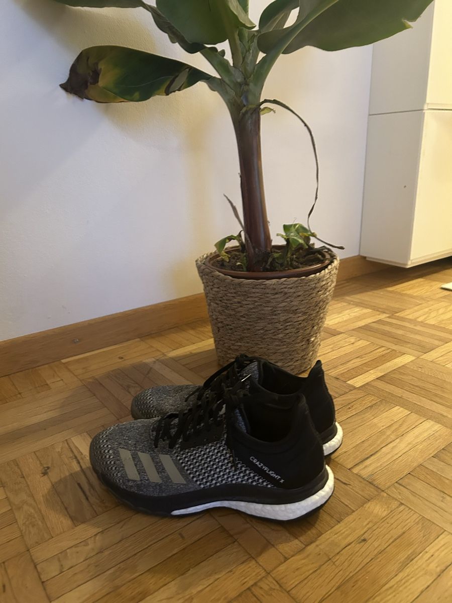 Adidas Scarpe da donna: Volleyball Schuhe – Usato da St. Gallen venduto da avl_k5my 1