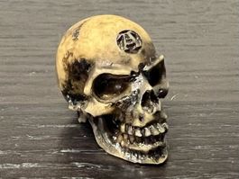 Alchemy England Mini Skull – Lapillus Worry Skull