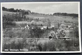 Münsingen, Gerzensee, Fotokarte ca 1940