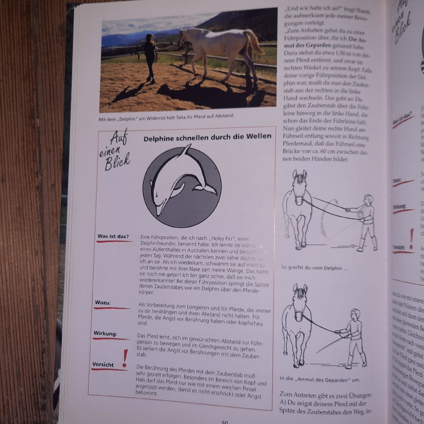 Libri: Tellington-Jones Reitschule – Nuovo (secondo la descrizione) da Riedikon venduto da cor_7jcd 4