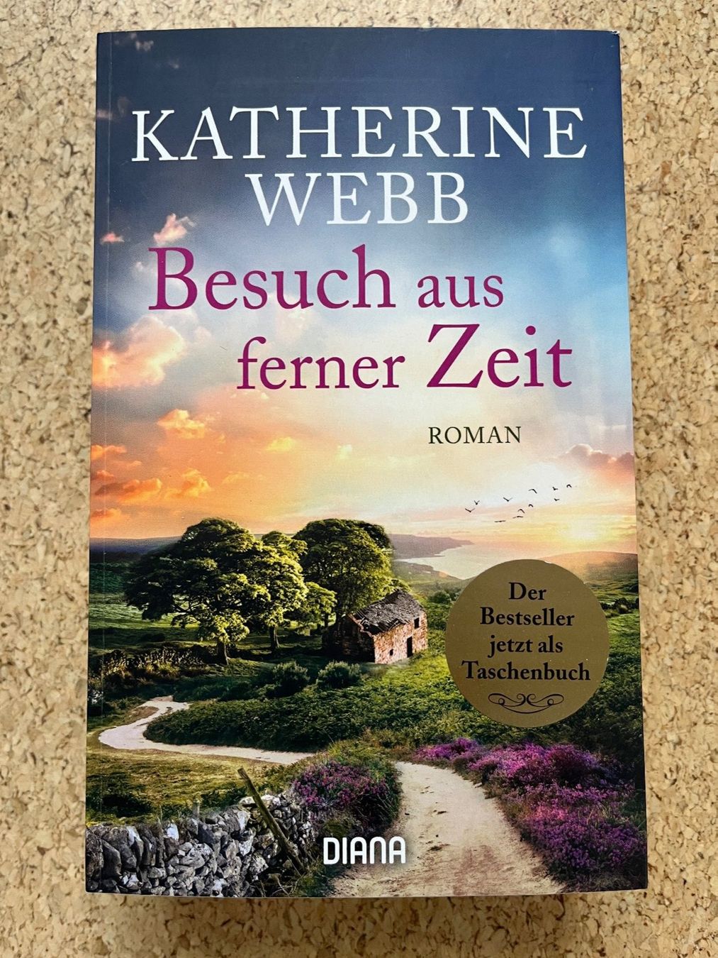 Libri: Taschenbuch "Besuch aus ferner Zeit", Katherine Webb – Nuovo (secondo la descrizione) da Grosswangen venduto da Vita500