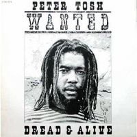 REGGAE 8x 33 tour divers chanteurs