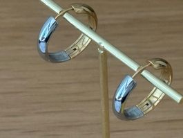 Luxus Elegante Creolen Edelstahl Ohrstecker Farbe:Gold/Silbe
