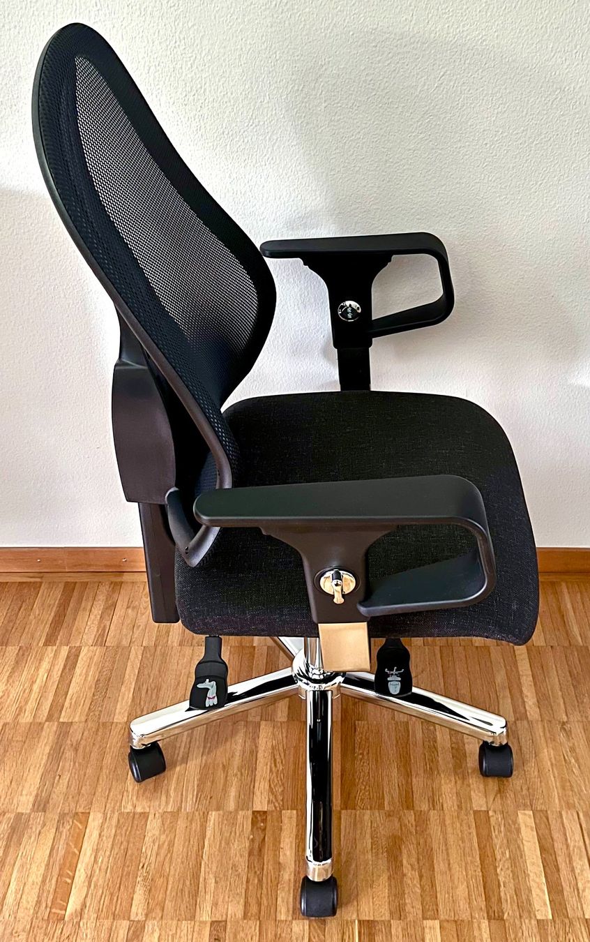 Sedie: Bürodrehstuhl SITNESS BASIC 300 (NEU) – Nuovo (secondo la descrizione) da Schlieren venduto da TykeOne 3