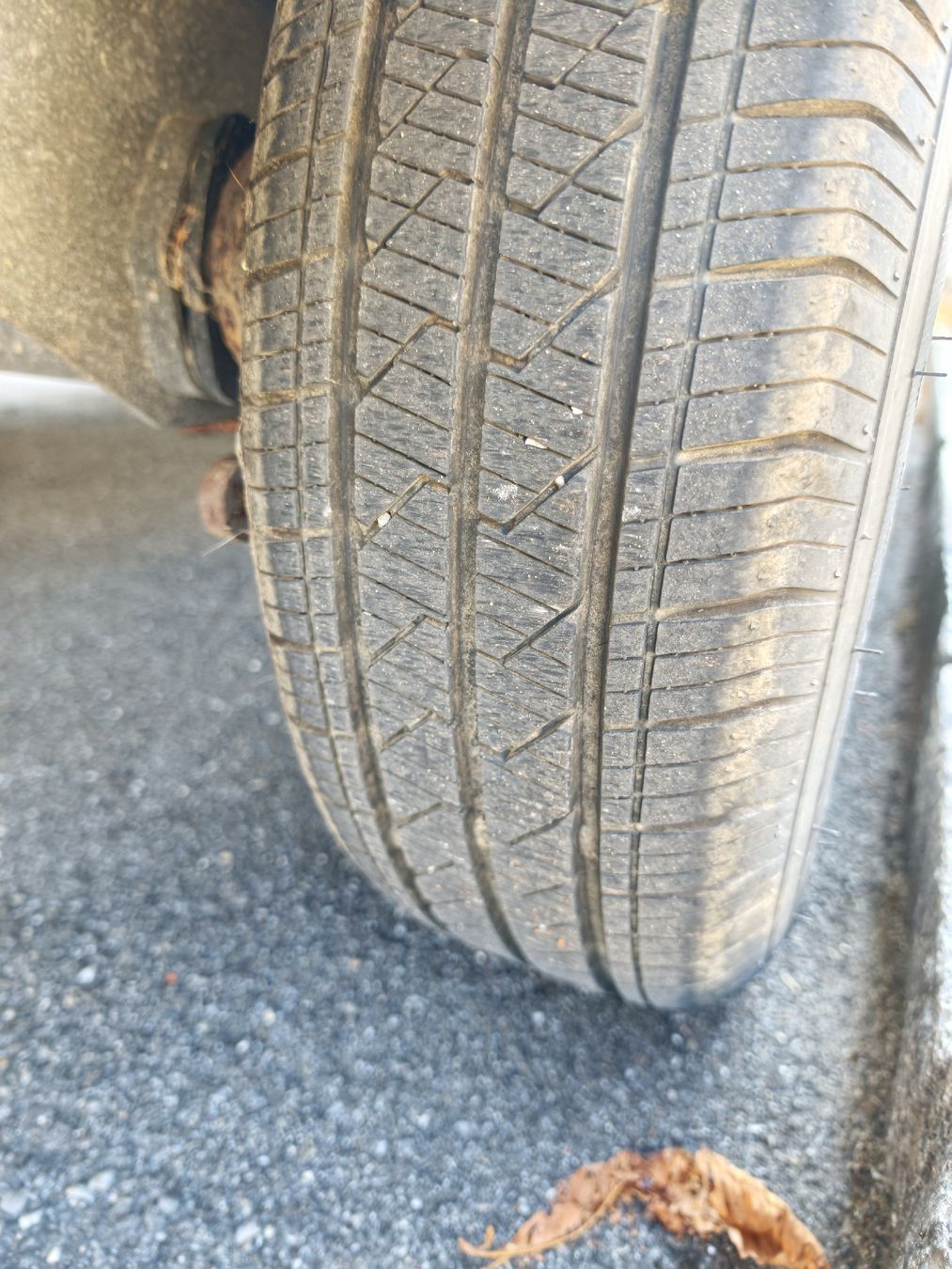 Humbaur Anhänger: Pferdeanhänger 2er Humbaur – Neu (gemäss Beschreibung) aus Lengnau BE von turbostef 5
