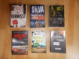 6-teiliges Bücherpaket Krimi/Thriller