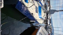 Voilier 26 pied a vendre