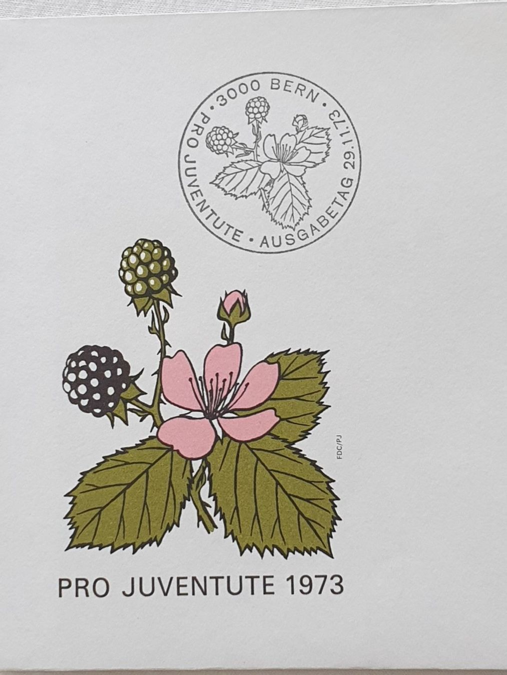 Tutti i francobolli: (20) Pro Juventute 1973 mit ET Stempel – Usato da Schwarzhäusern venduto da Inot3 7