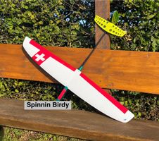 Spinnin Birdy QR. DLG flugfertig ohne E.