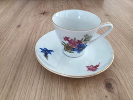 Schwarzenhammer Bavaria Tasse + Untertasse, Vintage, Blumen