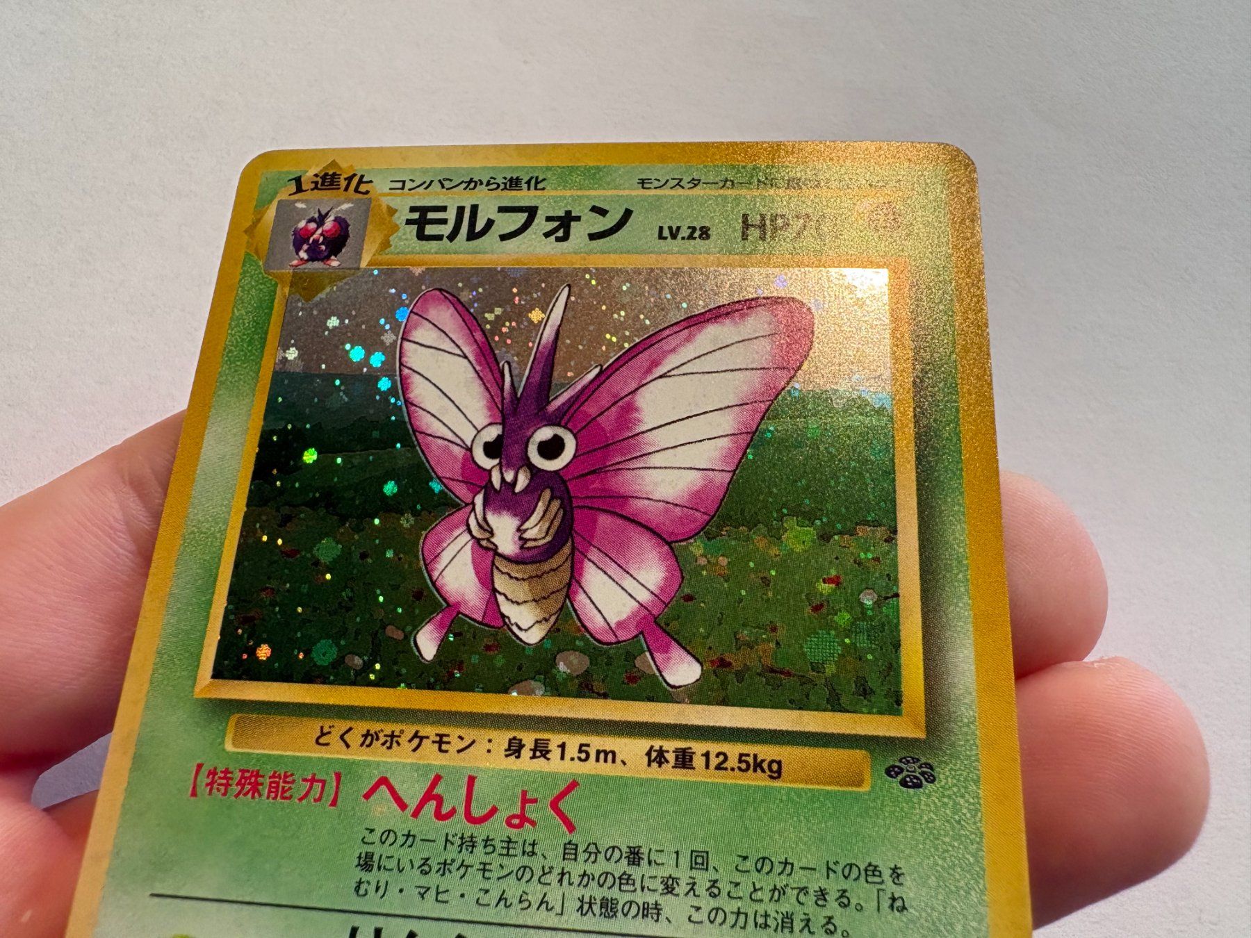 Pokémon Sammelbilder & Trading cards: Omot holo Jungle Japanese – Gebraucht aus Hagendorn von Pokecollectorch 4