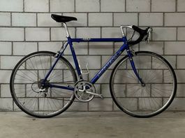 Rennrad Stevens Vintage neue Reifen! Ab 1.-!!!
