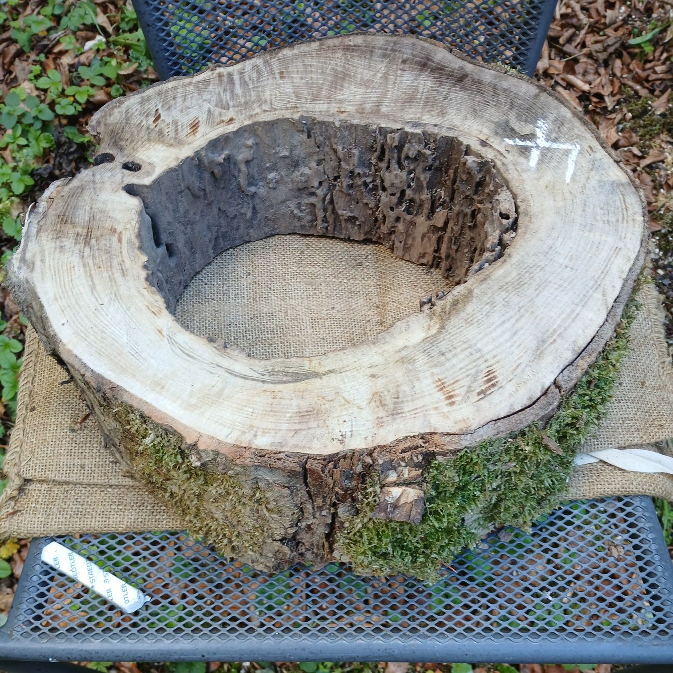 Holzartikel: Baumscheibe Natur hohl, roh >  B4 – Gebraucht aus Bilten von Archiv55 1