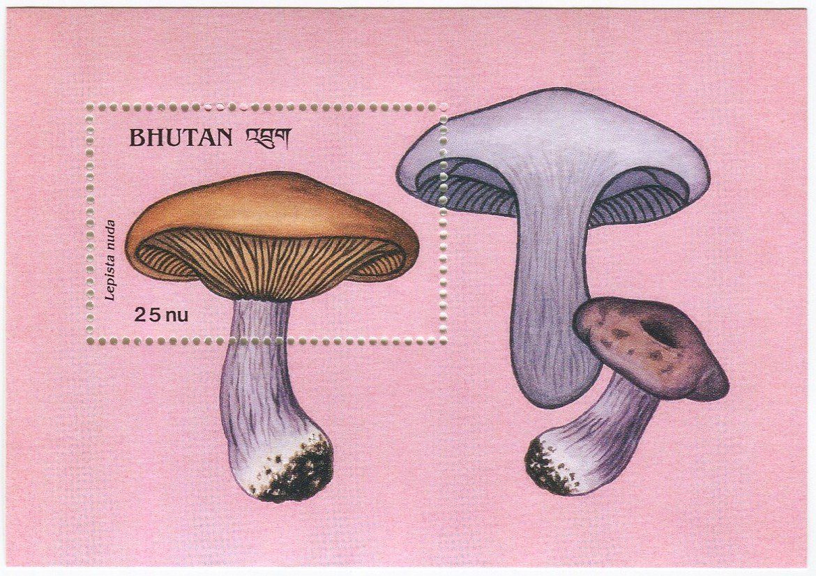 Tous les timbres: Block "Pilze". Bhutan – Neuf avec emballage d'origine à Basel par Butsch5