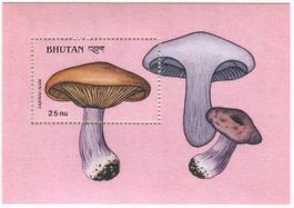 Block "Pilze". Bhutan