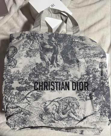 Dior Gray Toile De Jouy Limited Edition Tote Bag