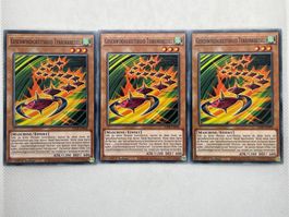 Geschwindigkeitsroid Terrorkreisel - 3 Yu-Gi-Oh Karten!