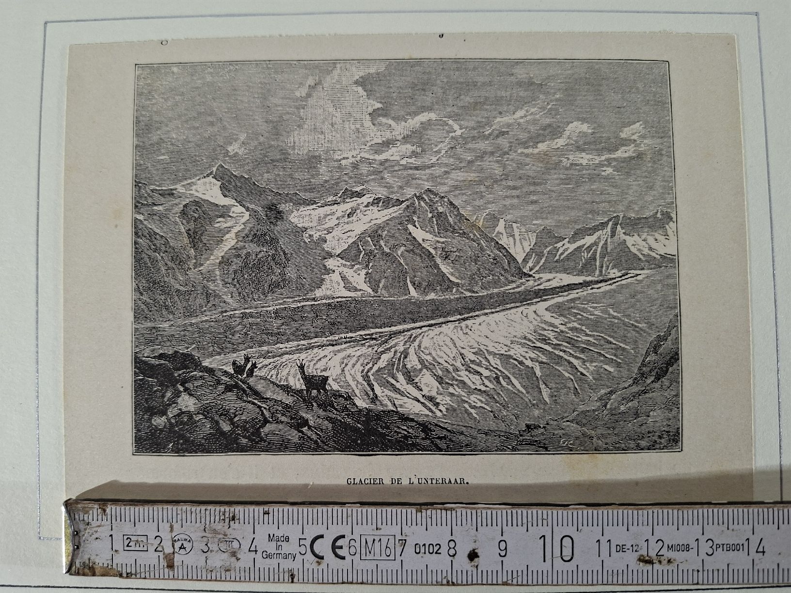 Incisioni: Lot 65,10 Stiche  – Usato da Grindelwald venduto da carro5 5