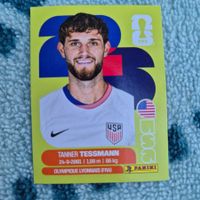 USA 9 Panini FIFA WM 2026