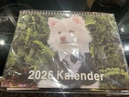 Neu Wandkalender 2026 mit Hunden 28x22 cm