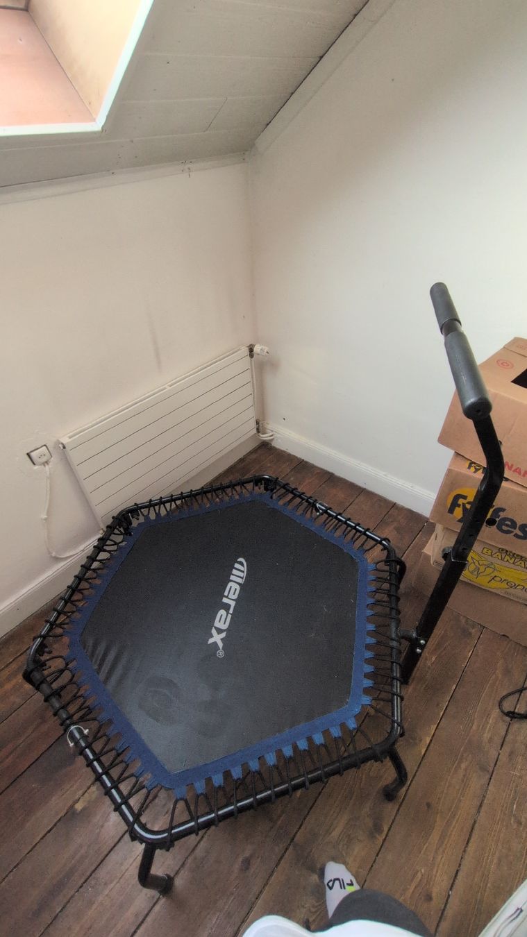 Trampolini: Trampolin Merax – Usato da Aesch BL venduto da Justmotos
