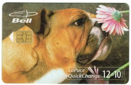 Telefonkarte Kanada Hund