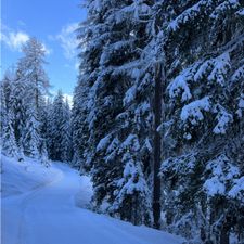 Profile image of Grialetsch22