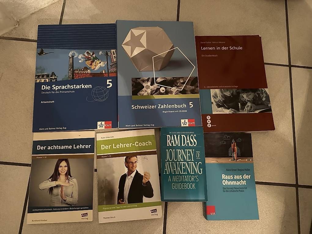 Libri: Schulbücher und andere Bücher – Usato da Brunnen venduto da evelynexx 1