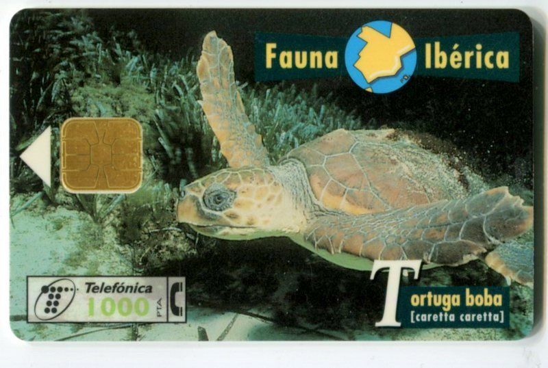 Schede telefoniche: Telefonkarte "Schildkröten". Spanien – Usato da Basel venduto da Butsch5