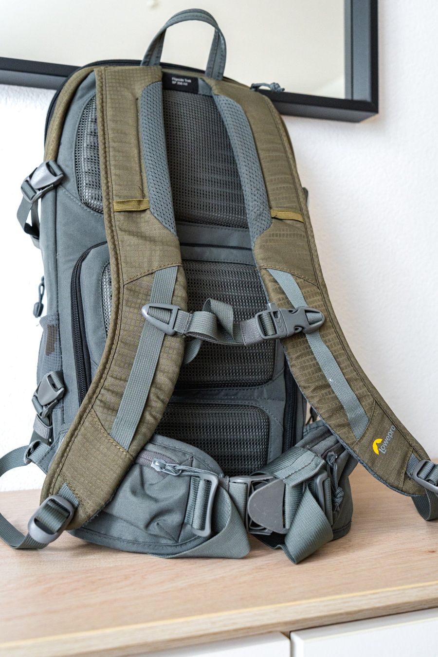 Lowepro Rucksäcke: Lowepro Flipside Trek BP 350AW – Gebraucht aus Rickenbach b. Wil von mfrei103 2