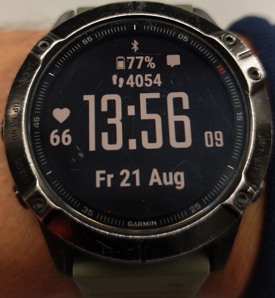 Garmin Smartwatch: Garmin Fénix 6x Pro – Usato da Romanshorn venduto da lub_2zfj